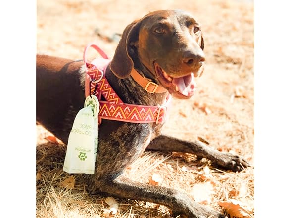 Pawtopia hands-free dog poop bag carrier (3p