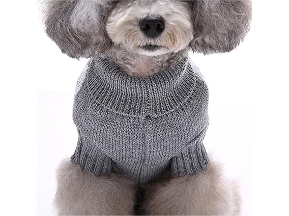 S-Lifeeling Skull Dog Sweater Holiday Hallow