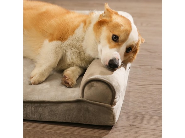Amazon Basics Dog Bed with Cooling Gel Foam