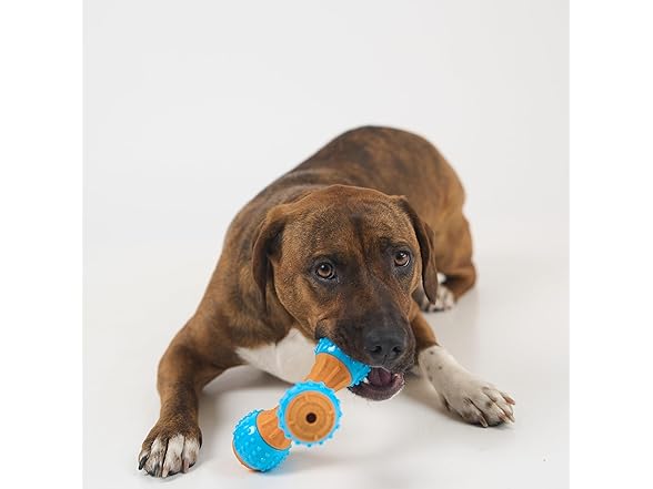 SPOT Bam-Bones PLUS Gigglers Dog Toy