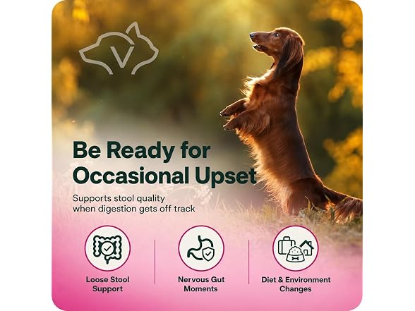 VetriScience Quick Action Diarrhea Aid for D