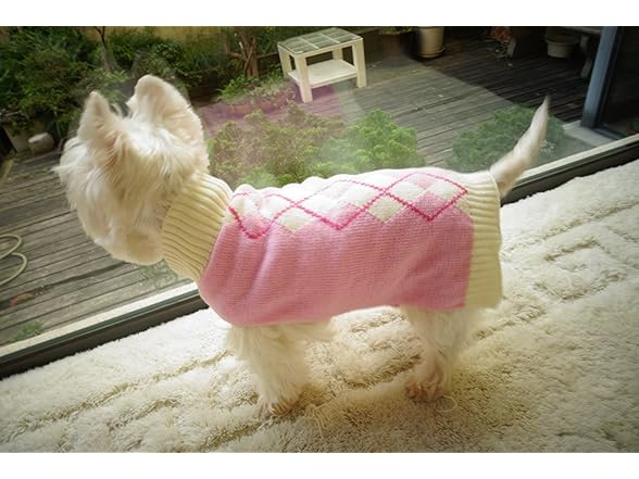 Alemon Argyle Knit Dog Sweater
