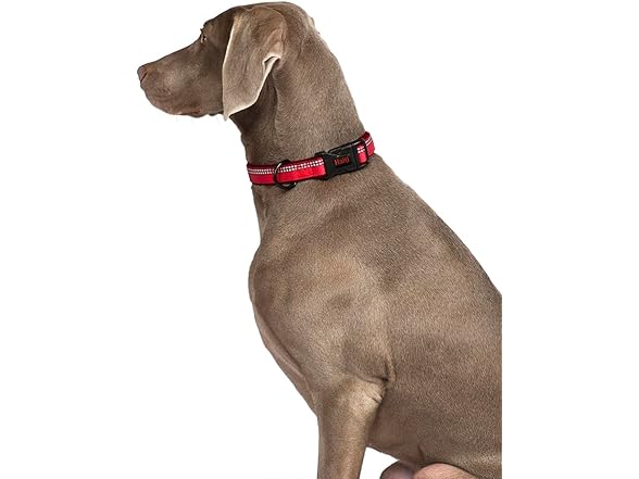 HALTI Comfort Collar - Nylon and Neoprene-Padded
