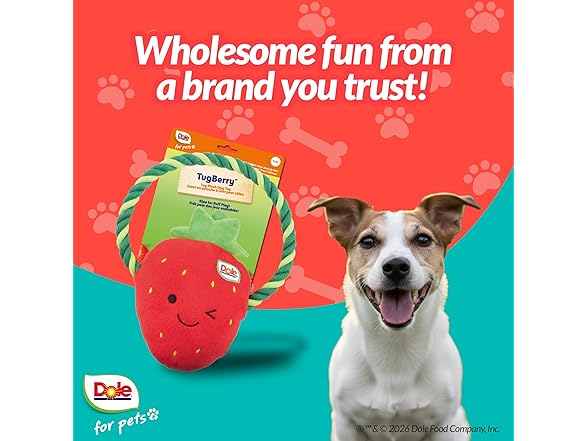 Dole for Pets Dog Rope Toy with Squeakers Strawberry