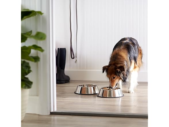 Amazon Basics Stainless Steel Non-Skid Dog Bowls