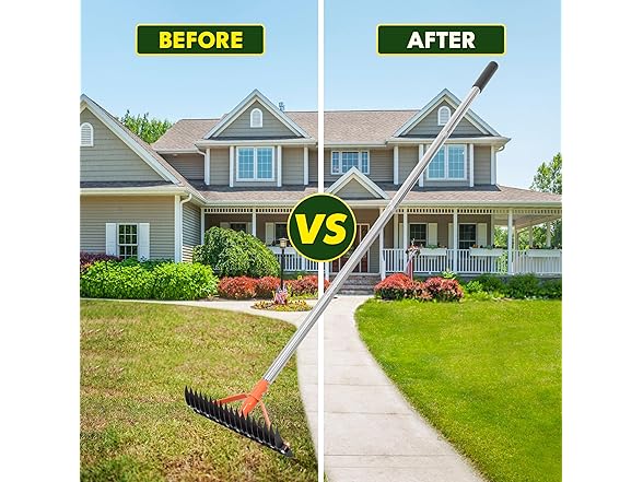 CKLT 18-Tine Thatch Rake 62.5in Handle