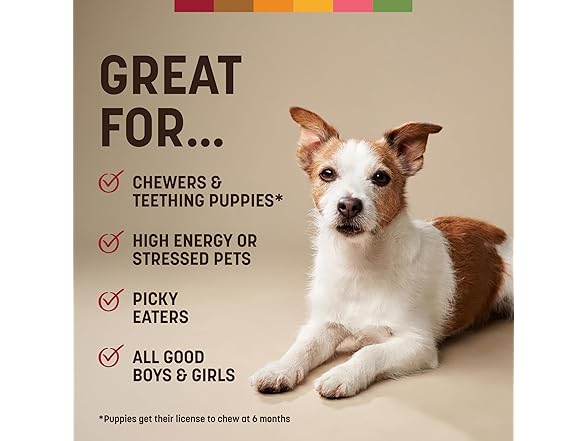 Earth Animal No Hide Chews