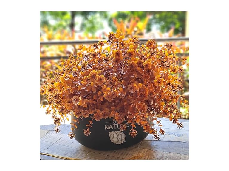 Grunyia Fall Flower- 12 PCS Bundles  