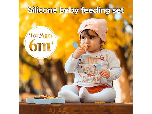 BabyX Baby Silicone Feeder Set