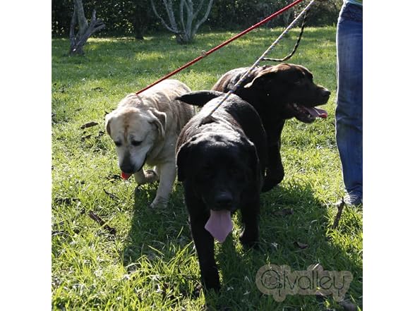 Alvalley Rope Dog Leashes with Stopper