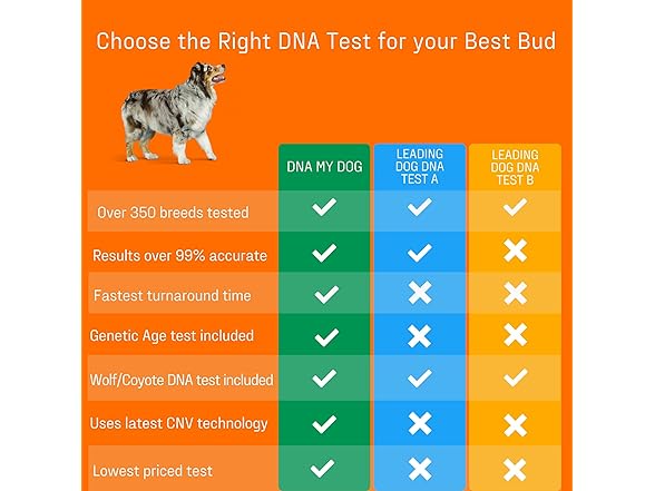 DNA MY DOG Premium Test