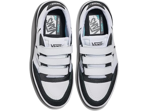 Vans Unisex Lowland CC V Shoe