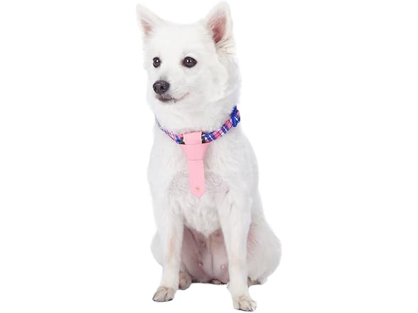 Blueberry Pet 4 Patterns Multiple Hues Scott
