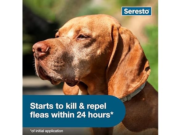 Seresto Large Dog Collar- Flea & Tick Treatment