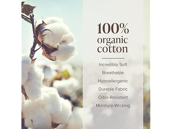 Bare Home Organic Flannel Cotton Sheet Set