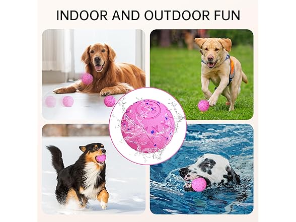 Interactive Dog Toys