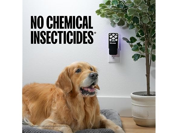 Dynatrap DT3007 Indoor Plug-in Fly Trap