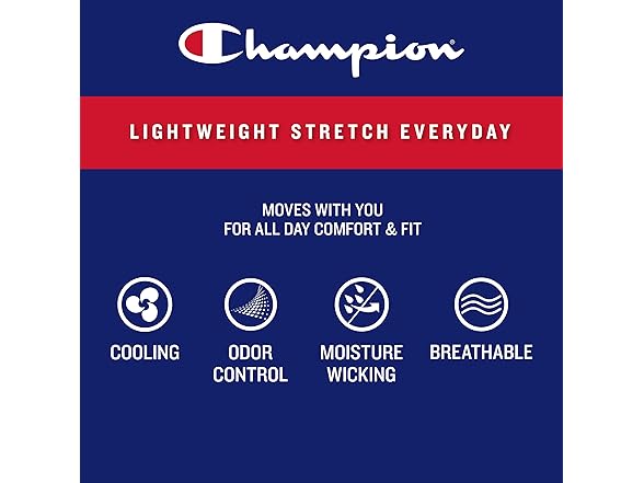 Champion Mens Boxer Briefs 3Pk Gray (M)