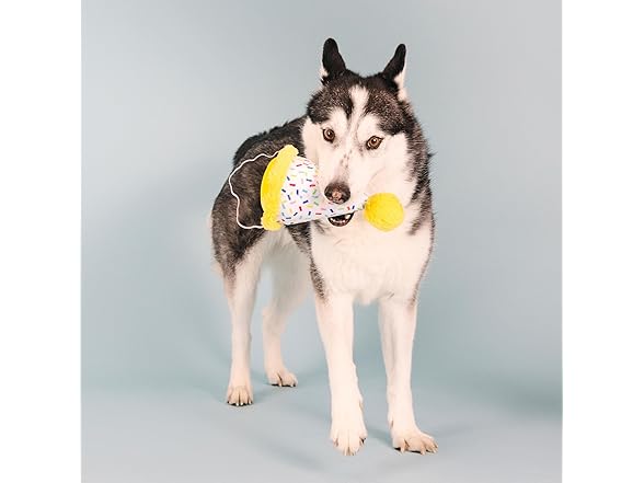 Fringe Studio Plush Dog Toy, Time to Celebrate