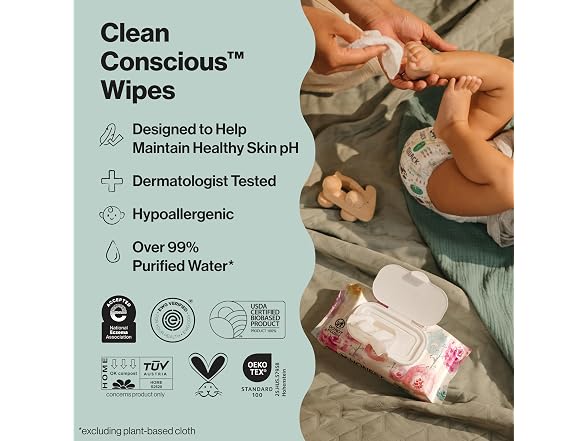 The Honest Company | Multi-Use 576 Count