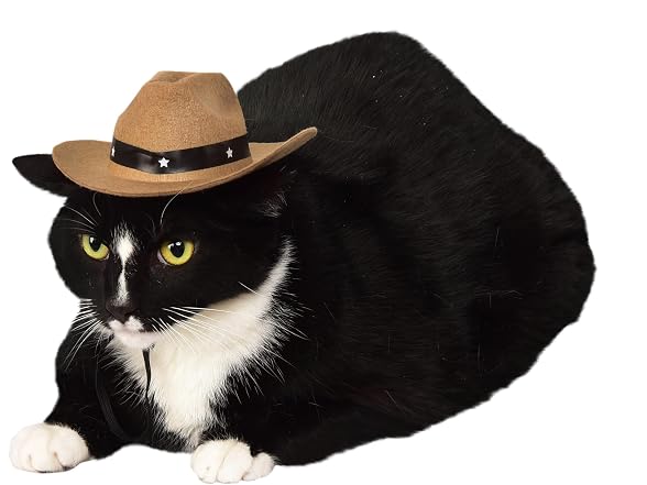 Rubies Cowboy Pet Hat for Dogs or Cats, M/L
