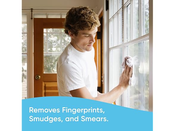 Windex Multipurpose Cleaner