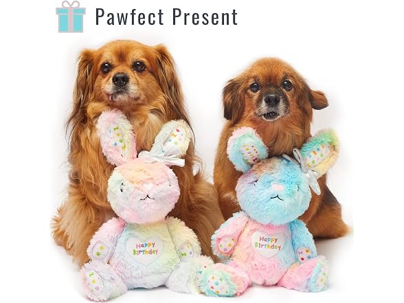 Pet London Happy Birthday Bunny Squeaky Dog