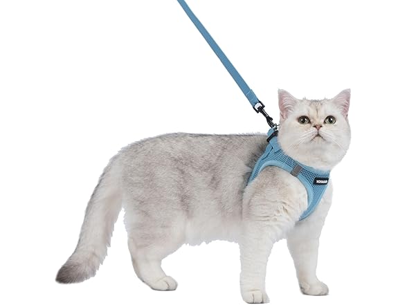 Voyager Step-in Cat Leash Harness Set