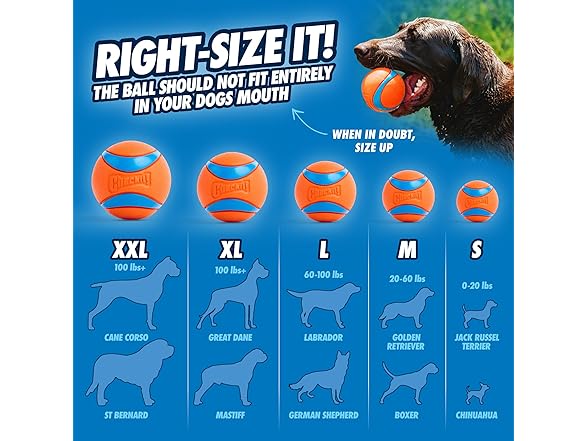 Chuckit! Ultra Ball, Small 2-inch, 2Pk