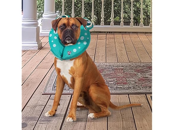 BigMouth Frog Inflatable Recovery Collar