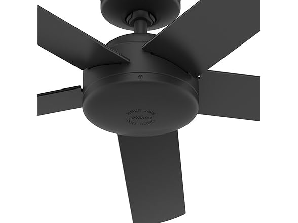 Hunter 52 Inch Black Outdoor / Indoor Ceiling Fan
