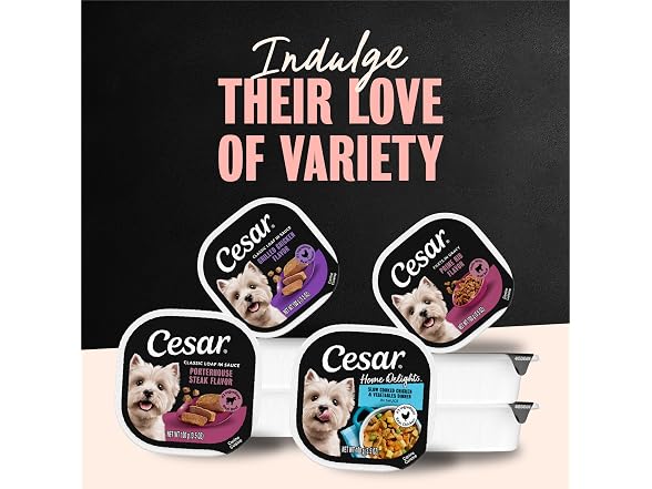 24ct Cesar Classic Loaf in Sauce Adult Wet Dog Food