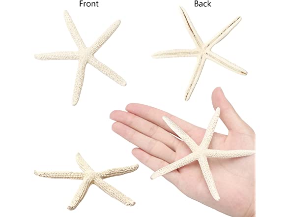 UEIEU 12 PCS Starfish Decor | 2.5-6 Inch