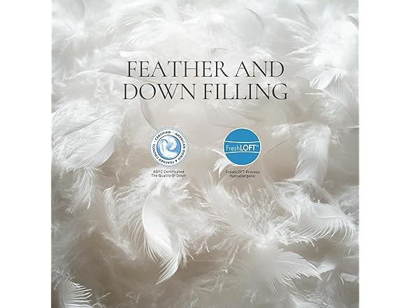 Beautyrest Soft Feather Down Comfor, F/Q