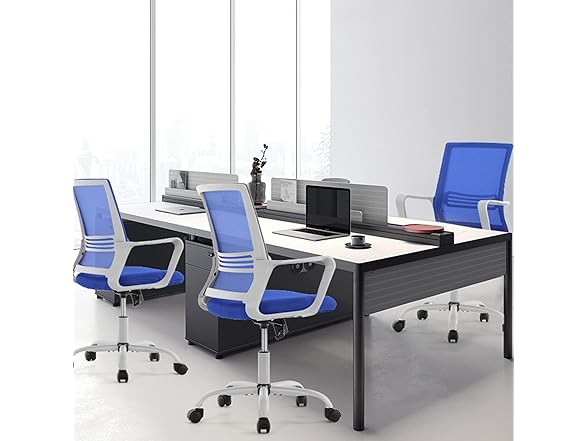 OLIXIS Ergonomic Home Office Chair - Rol