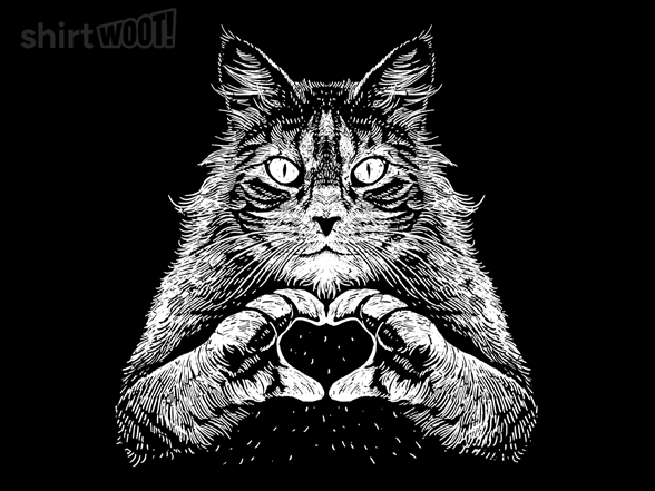 Maine Coon Affection