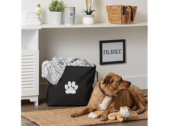 Bone Dry Pet Storage Collection Collapsible Bin