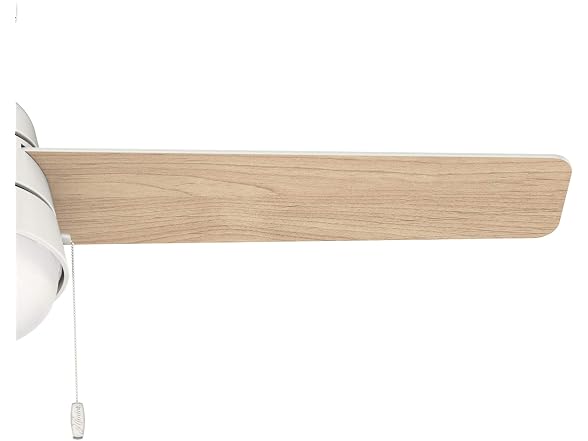 Hunter Fan 52" Contemporary White Indoor