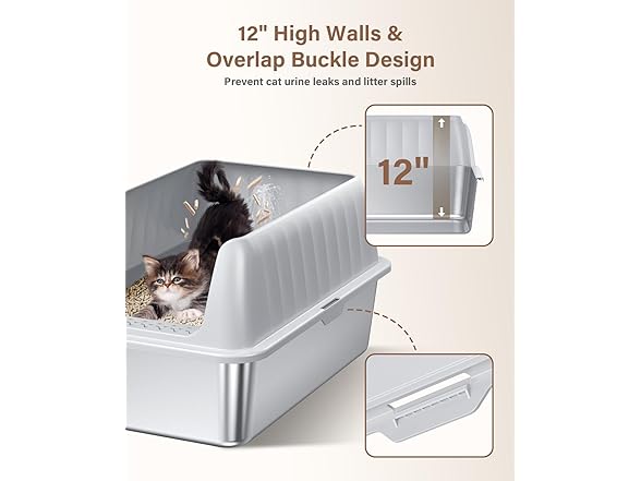 12-inch Height