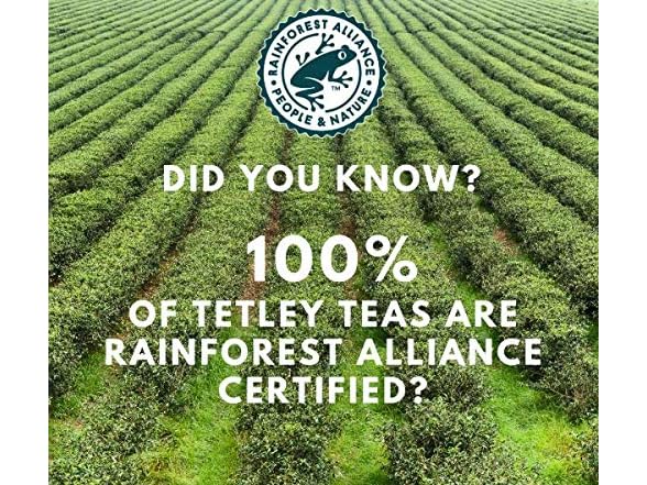 80CT Tetley British Blend Premium Black Tea, Regular