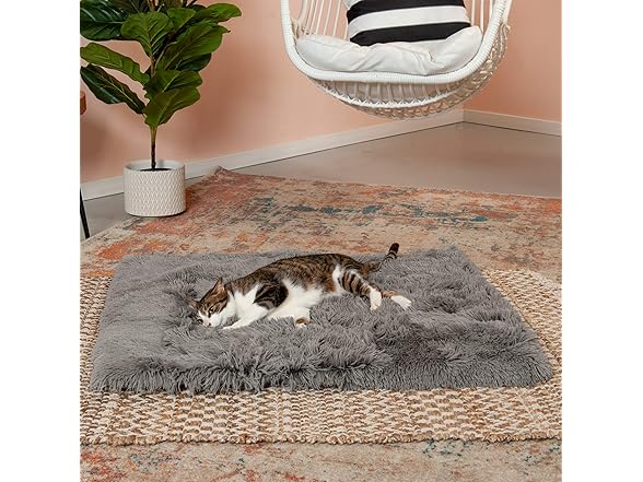 Furhaven Self-Warming Cat Bed for Indoor Cats