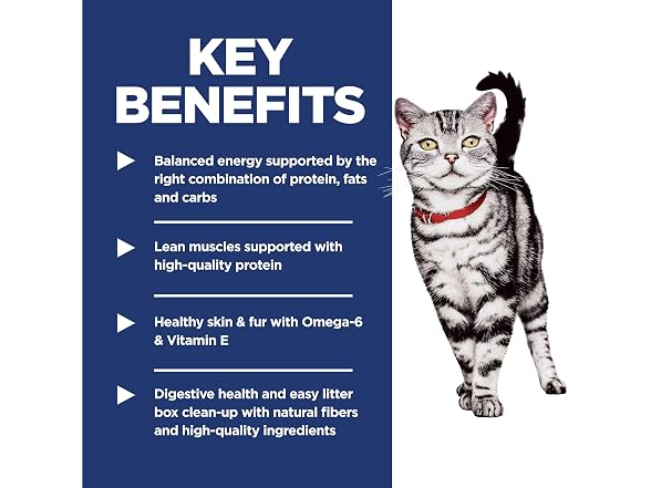 Hill's Science Diet Adult 1-6 Indoor Dry Cat Food