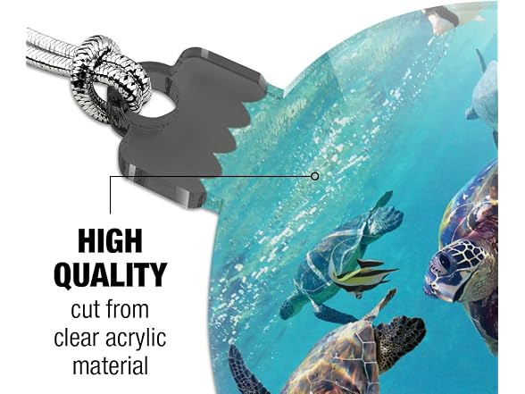 GRAPHICS & MORE Ocean Coral Reef Sea Turtles