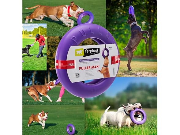 COLLAR Puller Maxi - Innovative Dog Fitness Tool