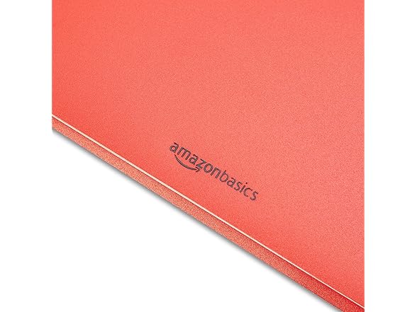 Amazon Basics Heavy Duty Plastic 2 Pocket Folder, 144Pk