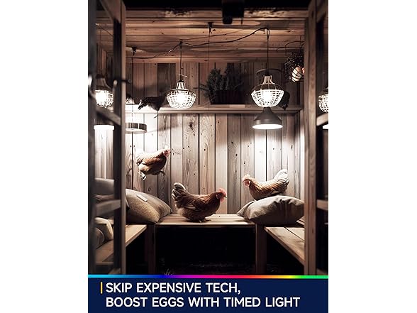 UNILAMP UNILAMP Timer Light Bulbs