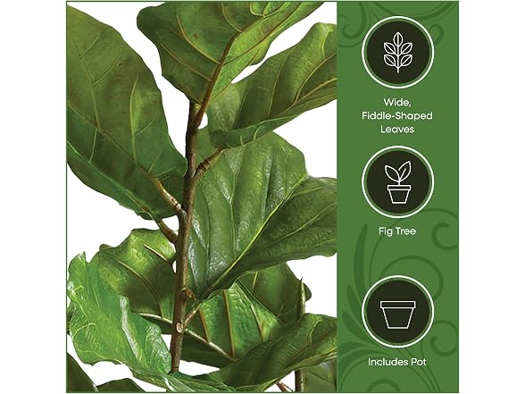 National Tree Company 43 Inch Artificial Fiddle Leaf Fig Tree in Clay Pot