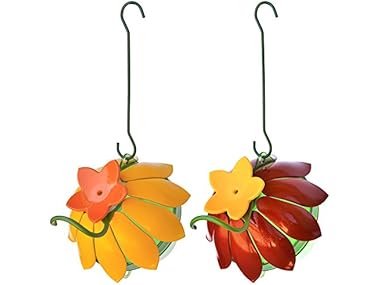 $6.99, Was $21.99, 68% Off! Wild Wings Hummingbird Feeder (2-Pack) dealfomo