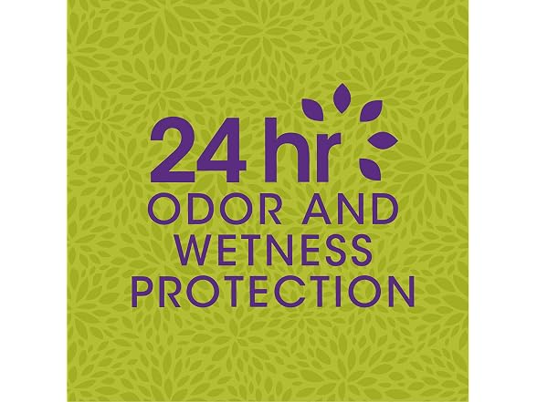 Ban Powder Fresh 24-hour