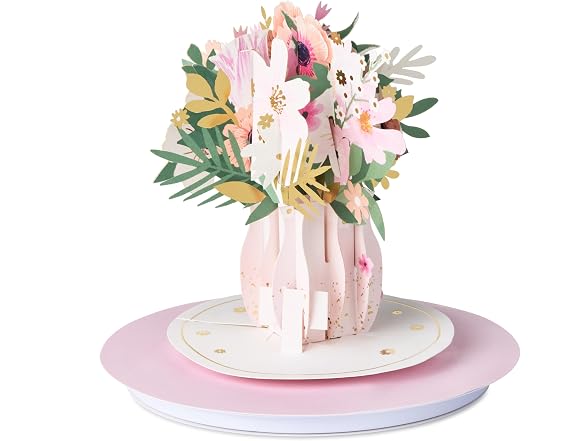 Hallmark Paper Wonder Spinning Pop-Up